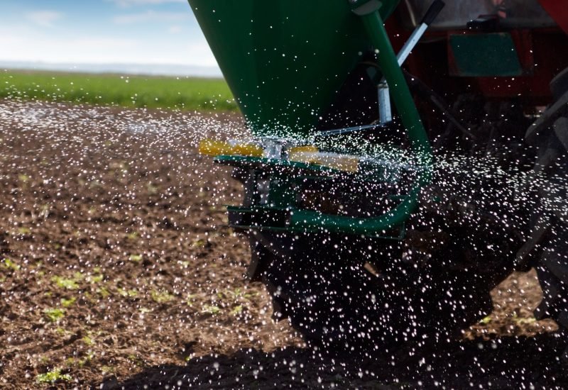 Aeration and Overseeding