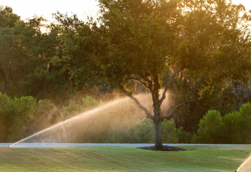 Lawn Irrigation Systems on a yard
