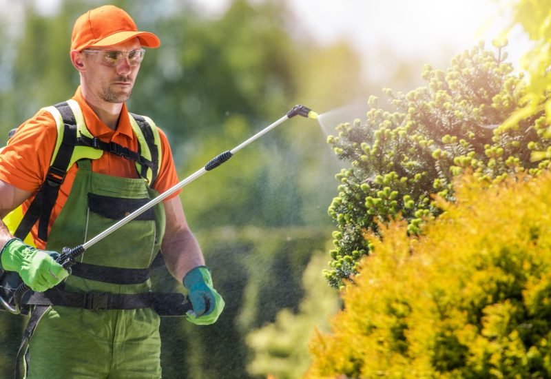 a person wearing an orange and green landscaping suit is watering the plants