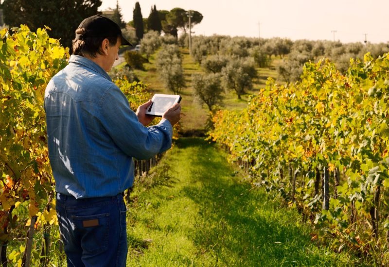 a professional doing a cost estimate for a landscaping services