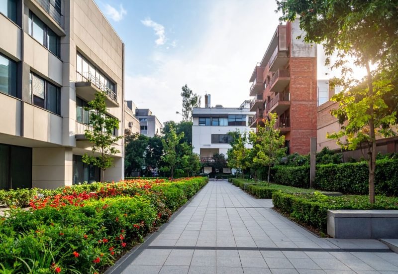 commercial lawn care