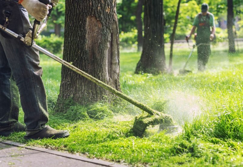 two landscaping professionals doing a full service lawn care