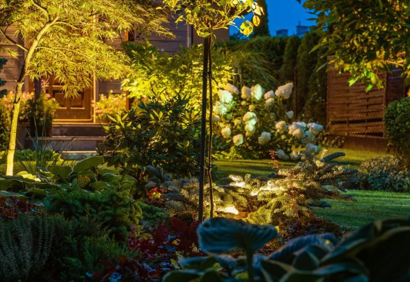 yellow lighting in the garden that brings life to the yard at night
