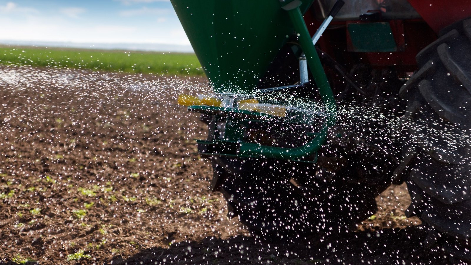 Aeration and Overseeding