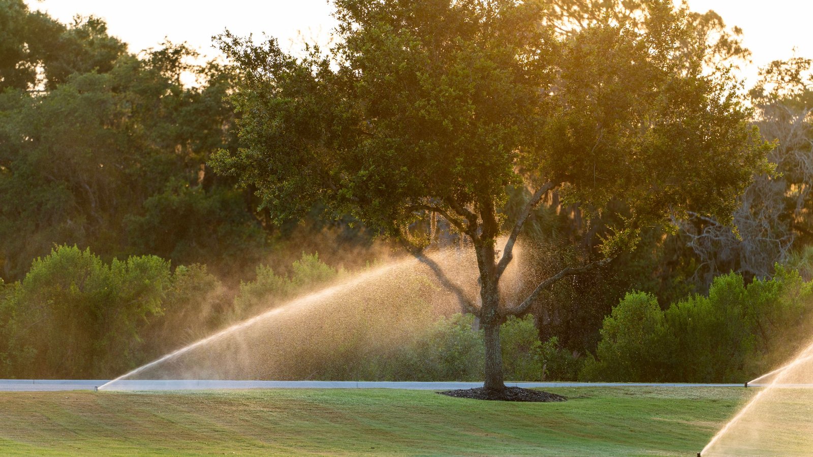 Lawn Irrigation Systems on a yard