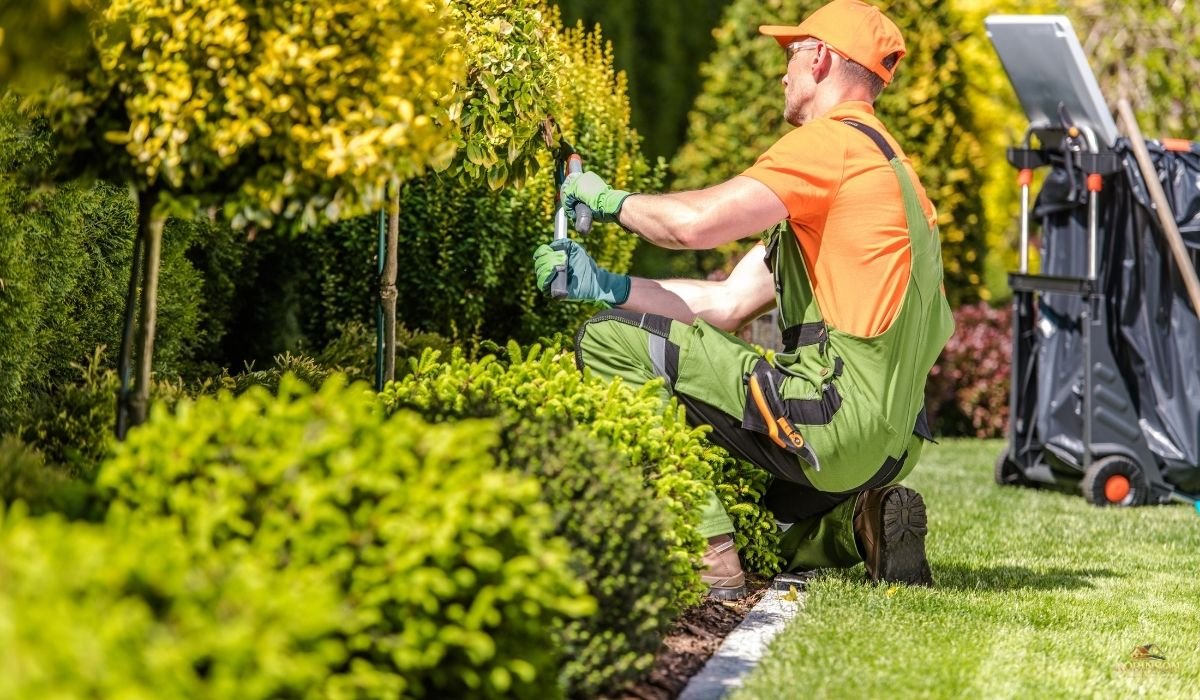 The Complete Guide to Landscaping in Fort Wayne Elevate Your Estate in 2026
