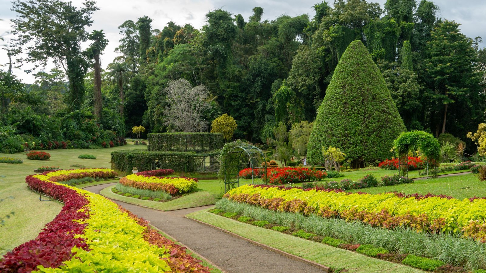 a colorful landscape