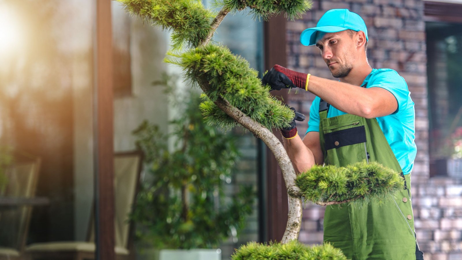 a landscape professional trimming the edges of the tree and shrub care