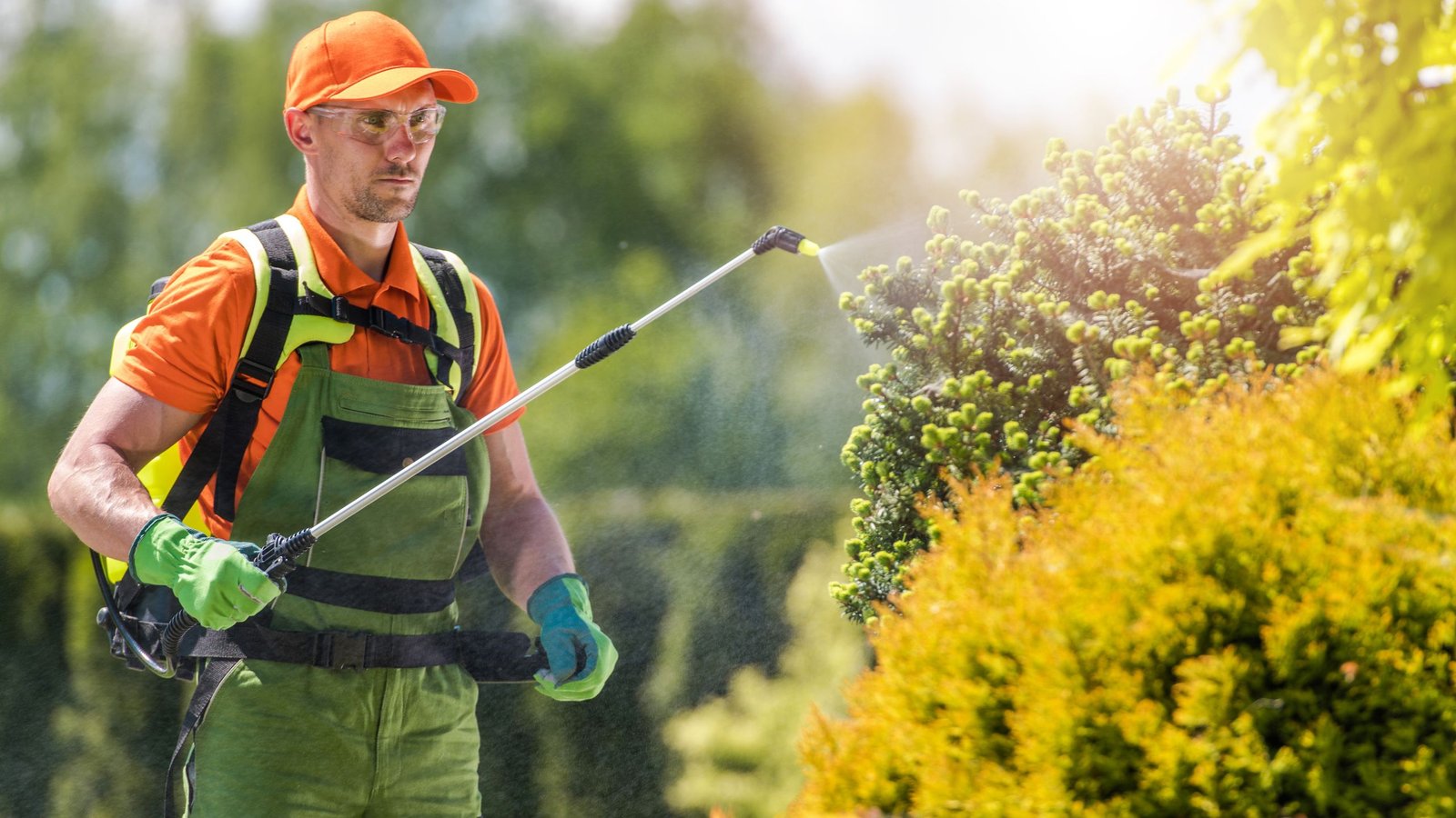 a person wearing an orange and green landscaping suit is watering the plants