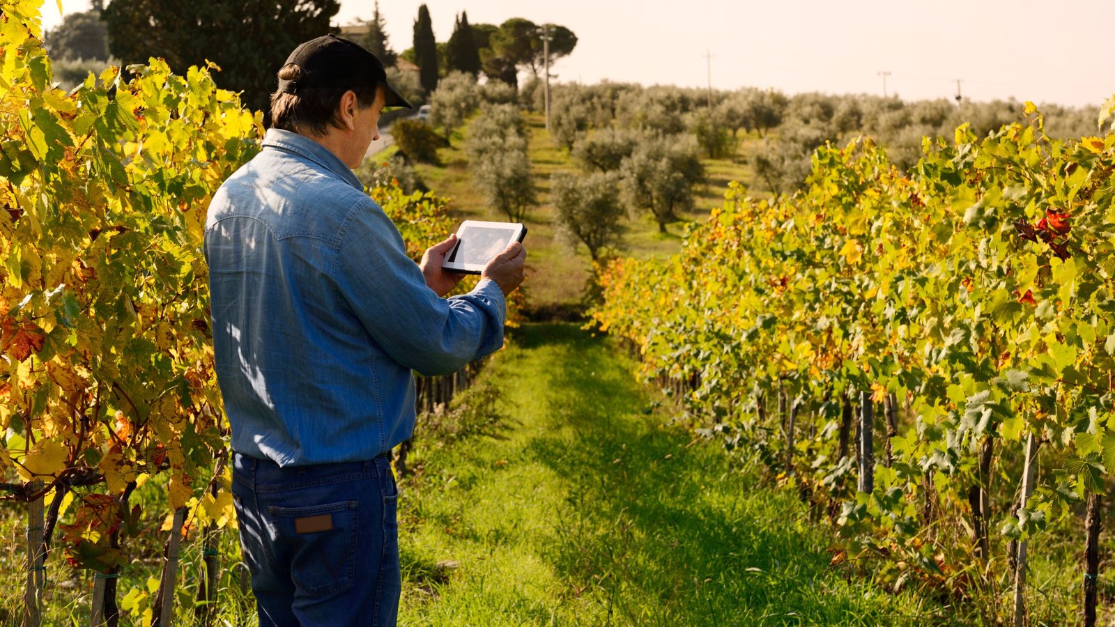 a professional doing a cost estimate for a landscaping services