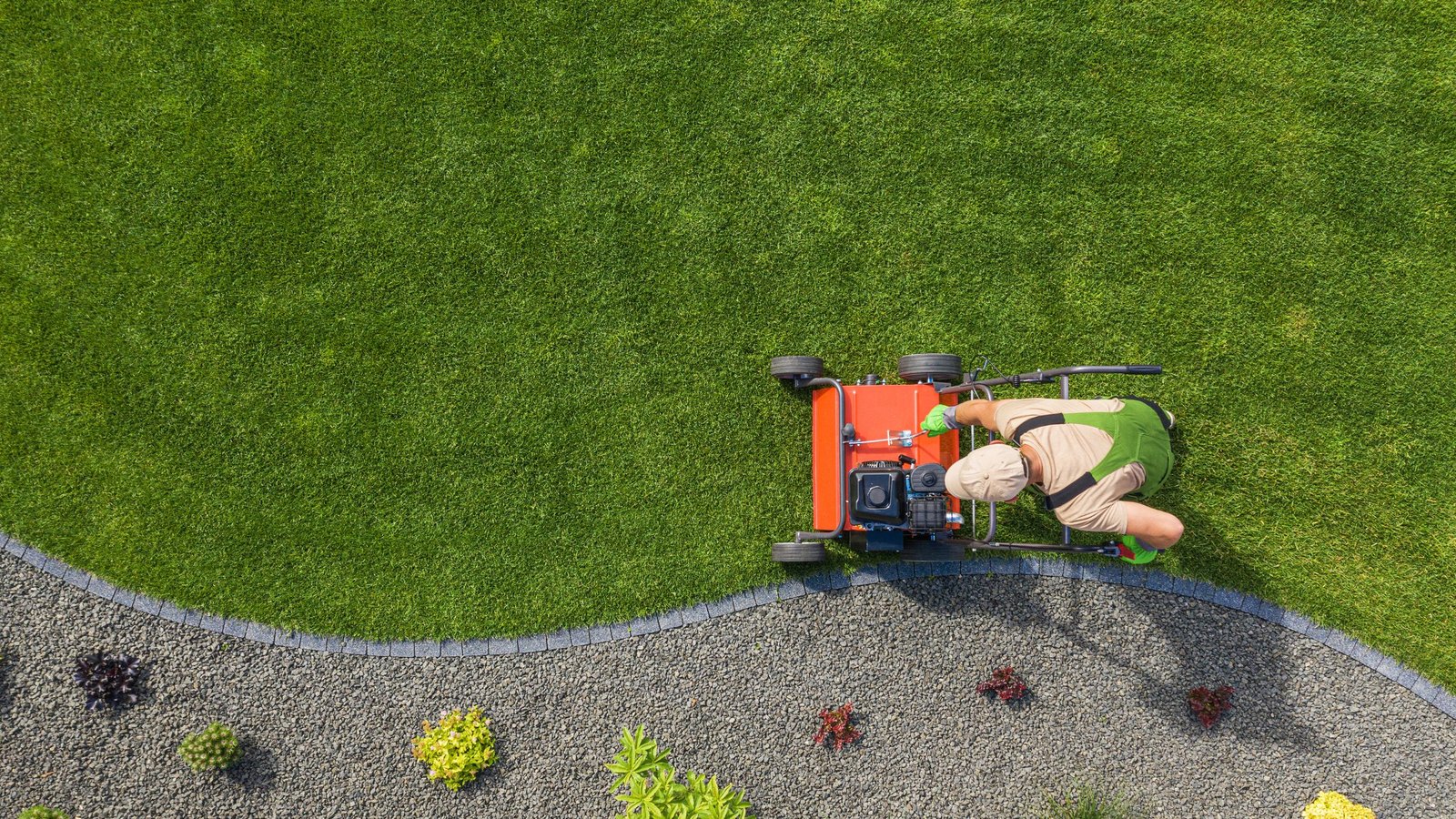 professional lawn mowing service