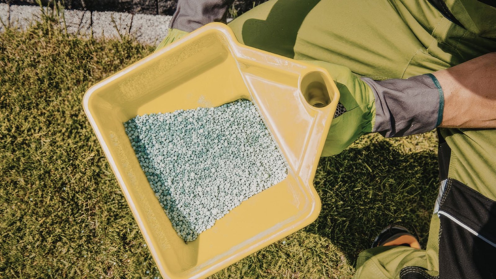 putting fertilizers on a lawn