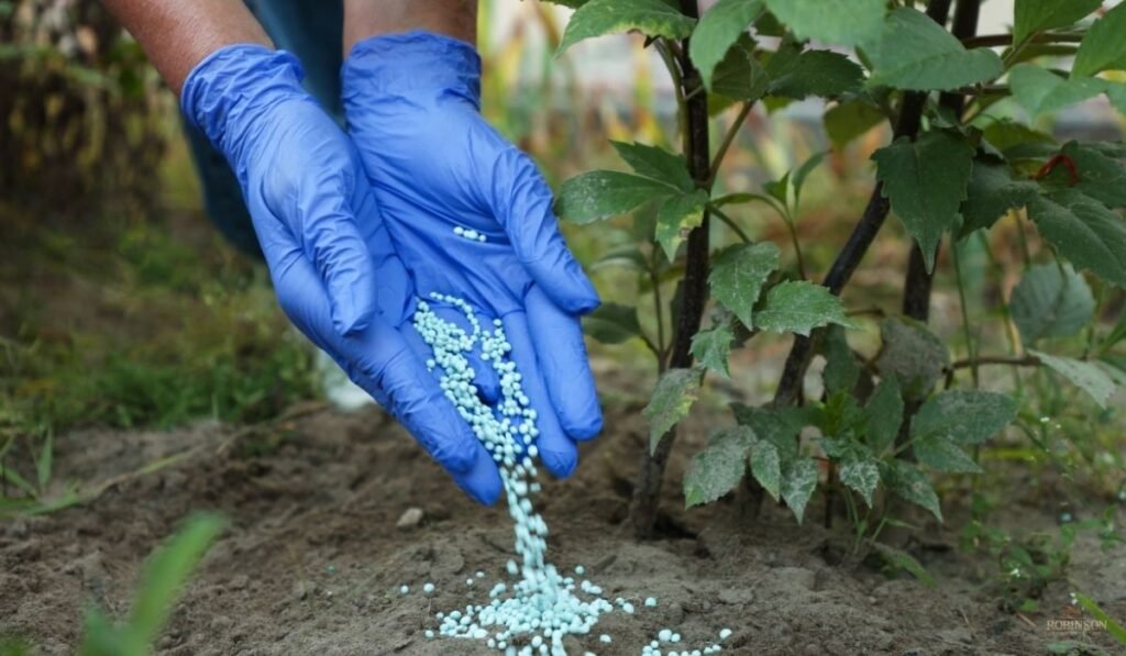 Smarter Resource Allocation and Environmental Responsibility