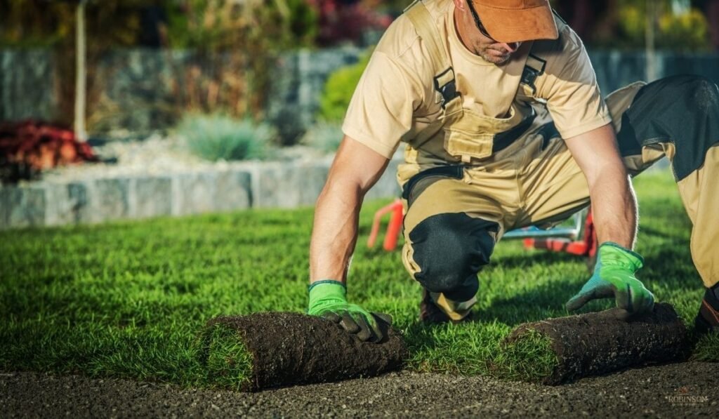 Where DIY Tools Reach Their Limit