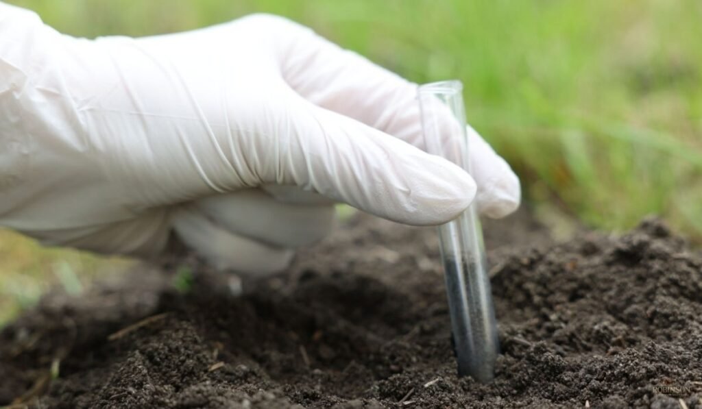 Site Analysis: Reading the Land Before a Single Shovel Moves