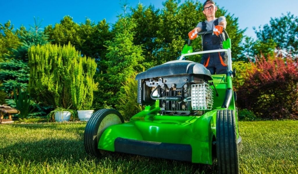 Investment Protection Through Professional Landscaping