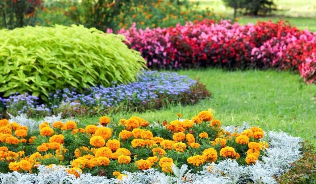 Landscape Architects vs. Landscape Designers