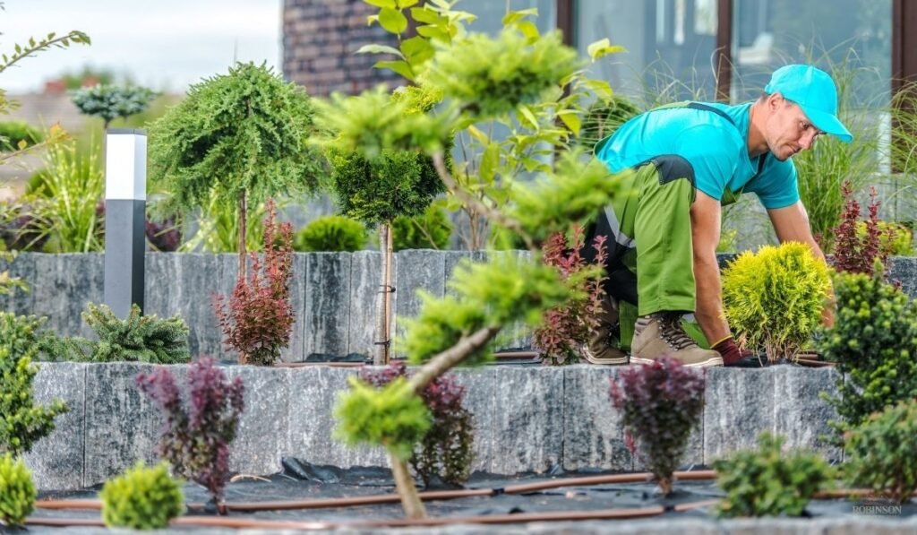 Landscape Designer vs. Landscape Architect: What's the Difference?