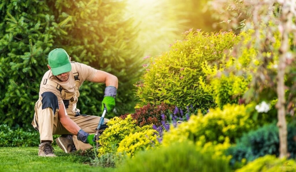 Integrating Additional Services Into a Maintained Estate Program
