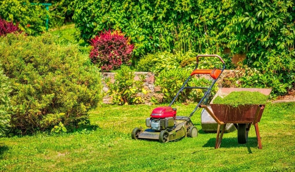 Site Obstacles and Asset Protection