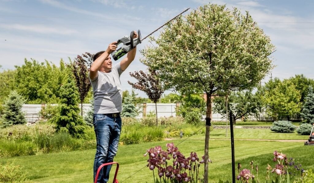 What Landscapers Actually Do Day to Day