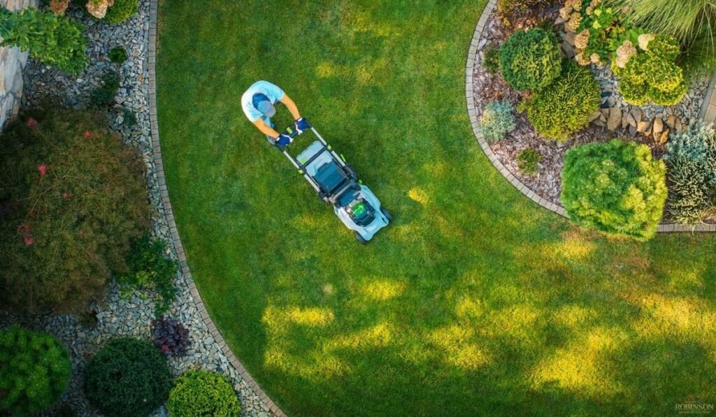 Plant Health, Seasonal Stewardship, and Year-Round Care