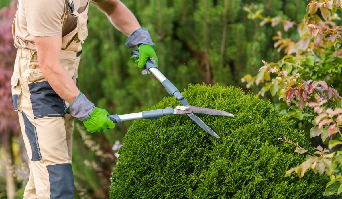 Landscaping for Beginners in Fort Wayne
