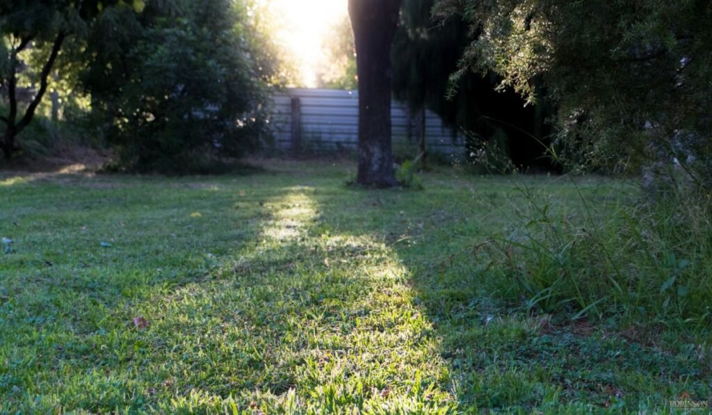 Watch How the Sun Moves Across Your Yard