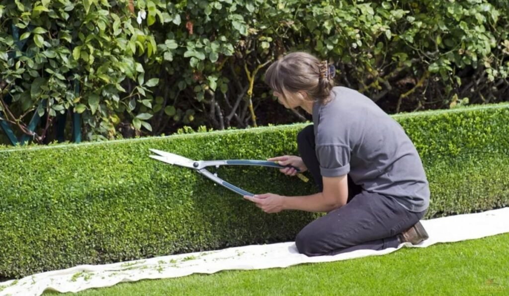 7 Common Landscaping Mistakes Fort Wayne Homeowners Make
