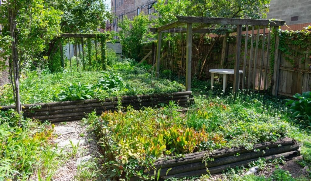7. Designing a Yard You Can't Keep Up With