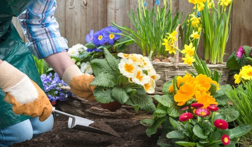 5. Overcrowding Planting Beds for Instant Gratification