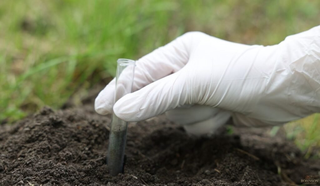 1. Skipping a Soil Test Before Building Garden Beds
