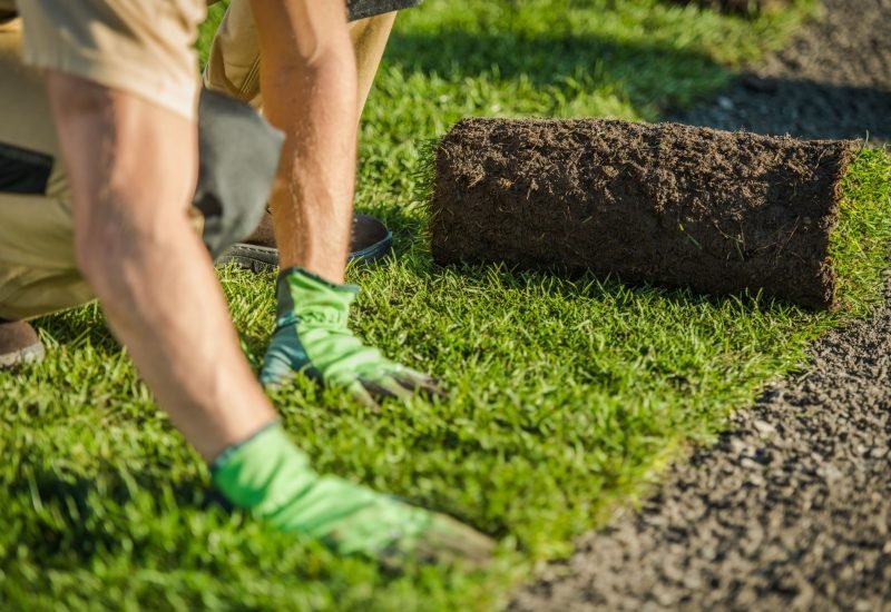 Premium Turf Installation in Fort Wayne | Robinson Landscape Solutions